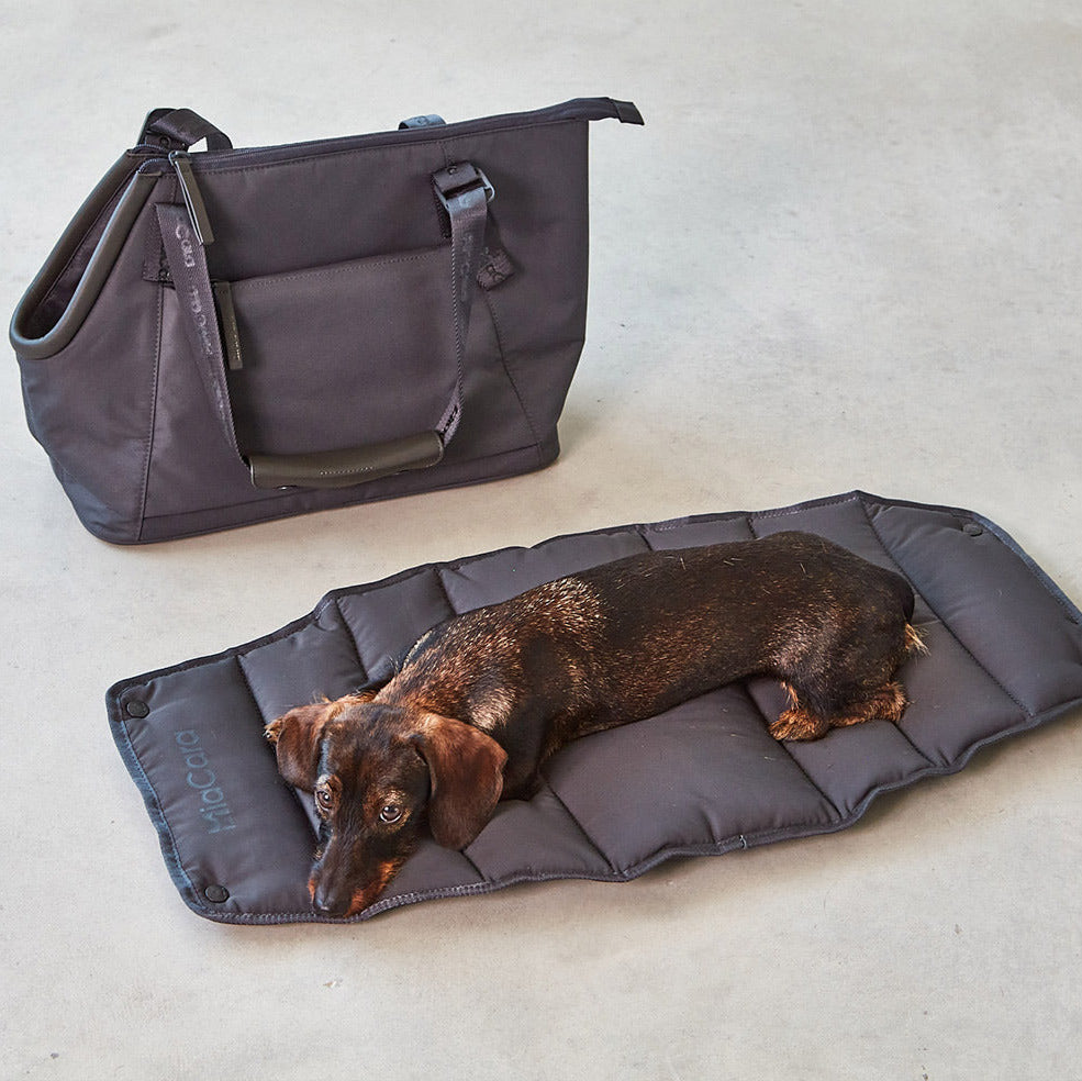 Miacara-Hundetragetasche-Sporta-Asphalt-Inlay
