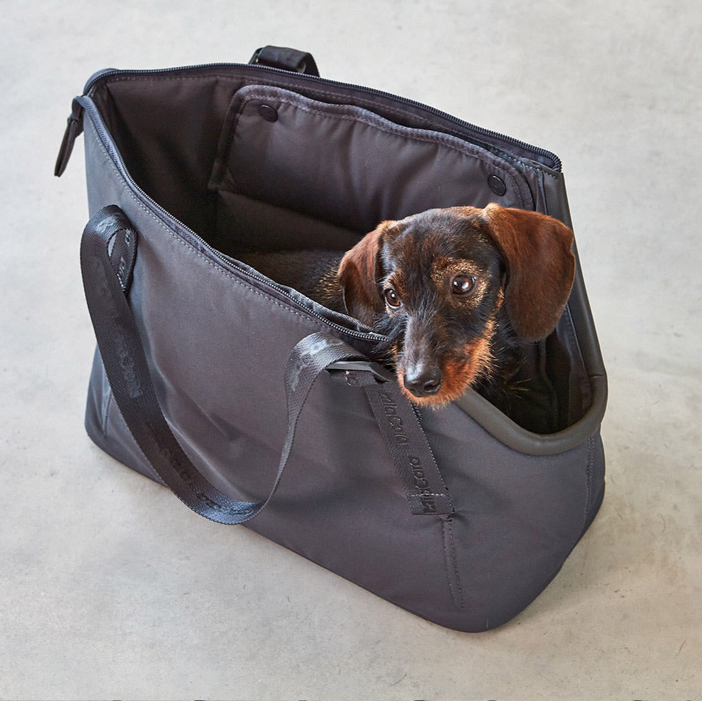 Miacara-Hundetragetasche-Sporta-Asphalt-Hund