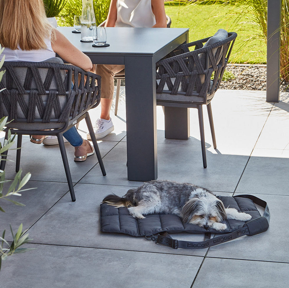 MiaCara-travelBed-Hundereisebett-Strada-Asphalt-outdoor