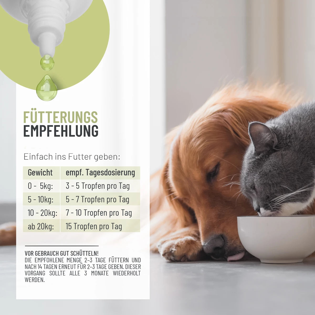ReaVet-Worm-Wood-Mix-Liquid-mit-echtem-Wurmkraut-Fütterungsempfehlung