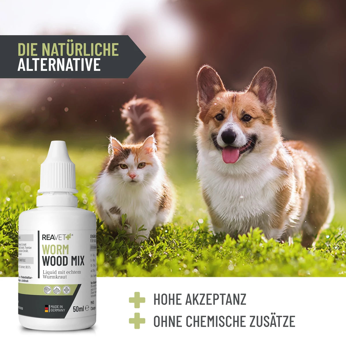 ReaVet-Worm-Wood-Mix-Liquid-mit-echtem-Wurmkraut-Mood