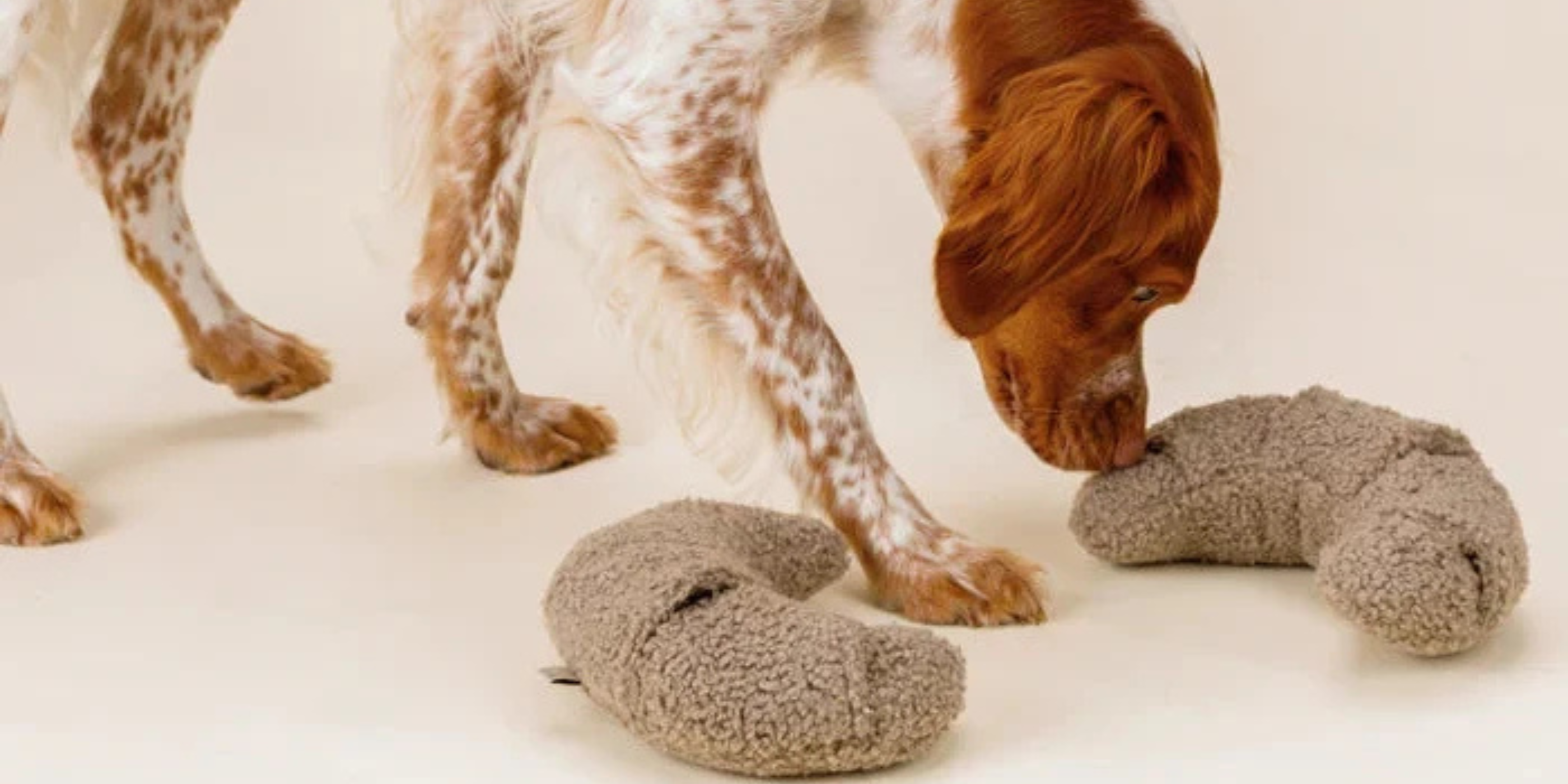 Hundespielzeug ohne Quietschi Hundespielzeug ohne Quietschi