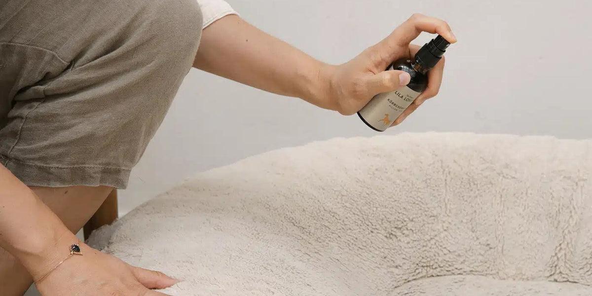 Körbchenspray
