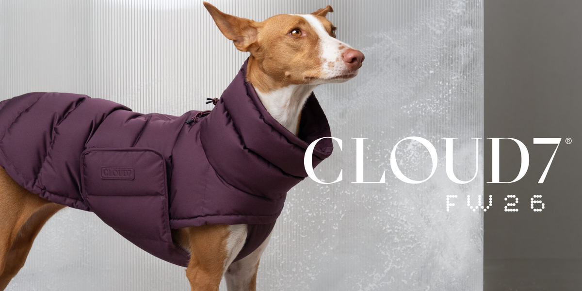 Cloud7 Herbst/Winter 26/27