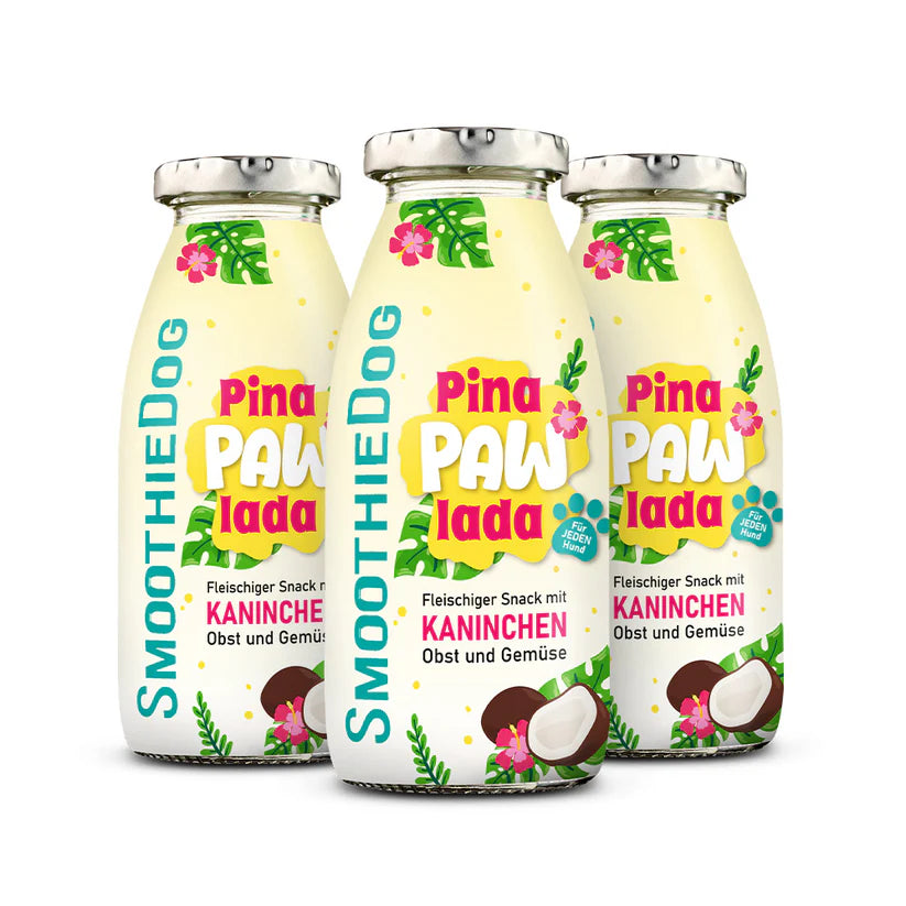 Hundesmoothie Summeredition PinaPawLada