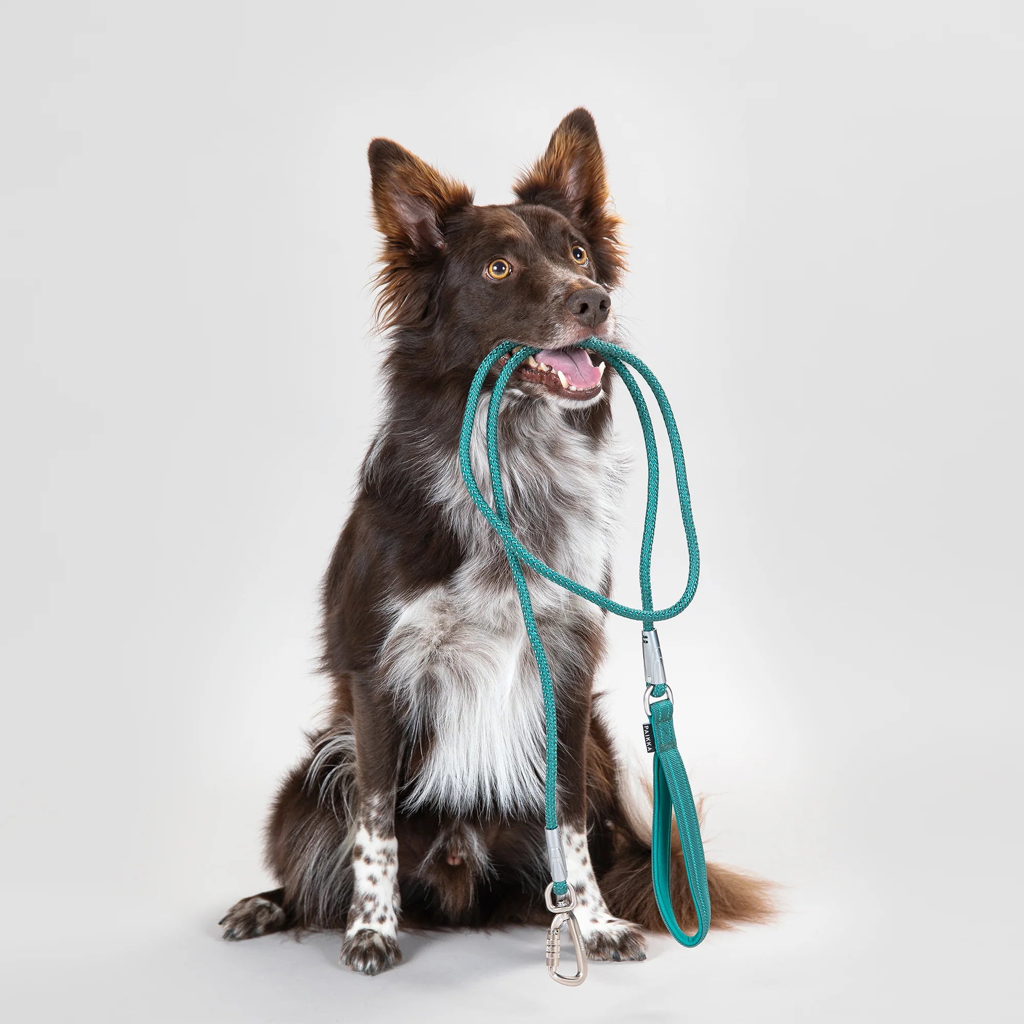 Paikka-Hundeleine-Visibility-Rope-Leash-Emerald