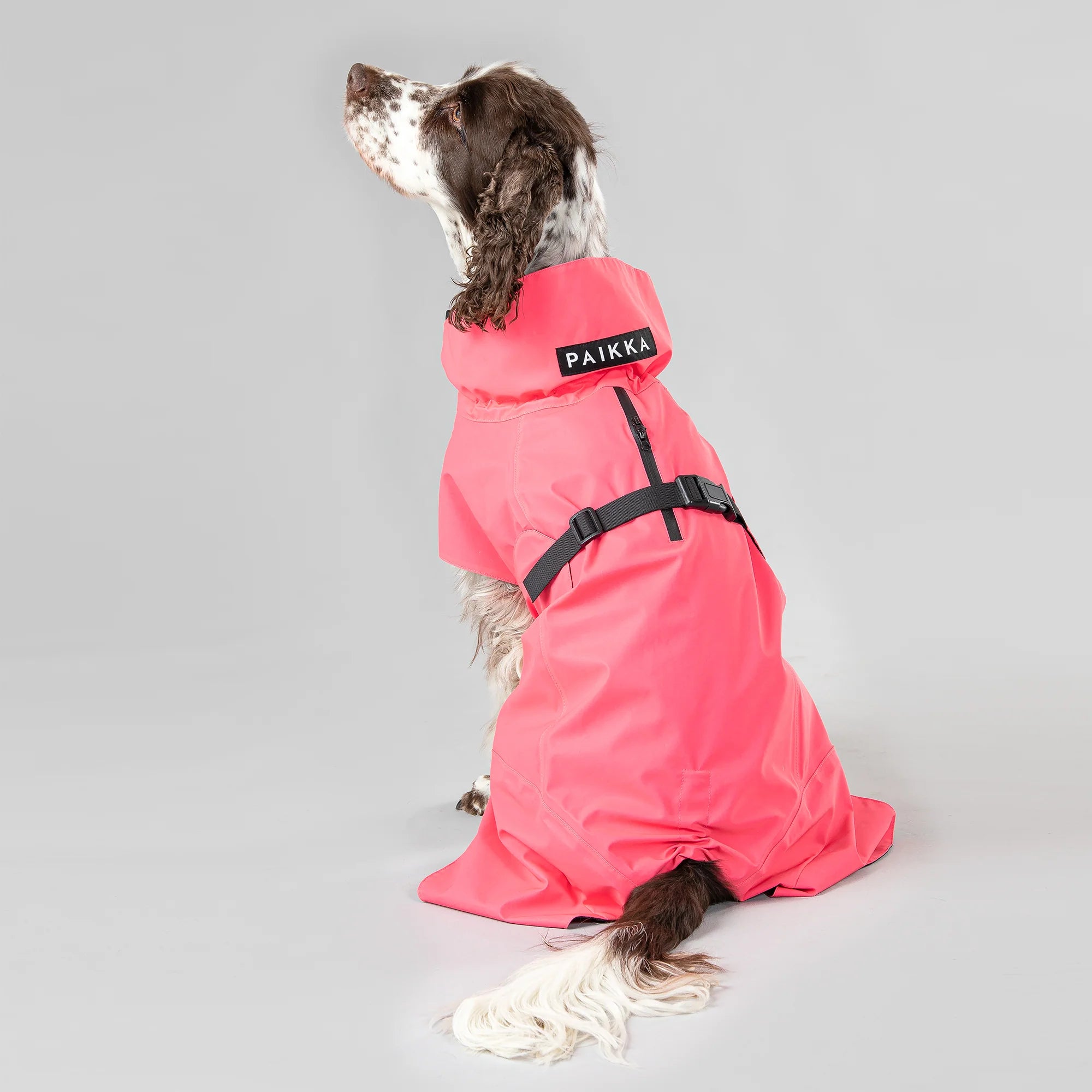 Paikka-Visibility-Raincoat-Lite-Hot-Pink-Hund3