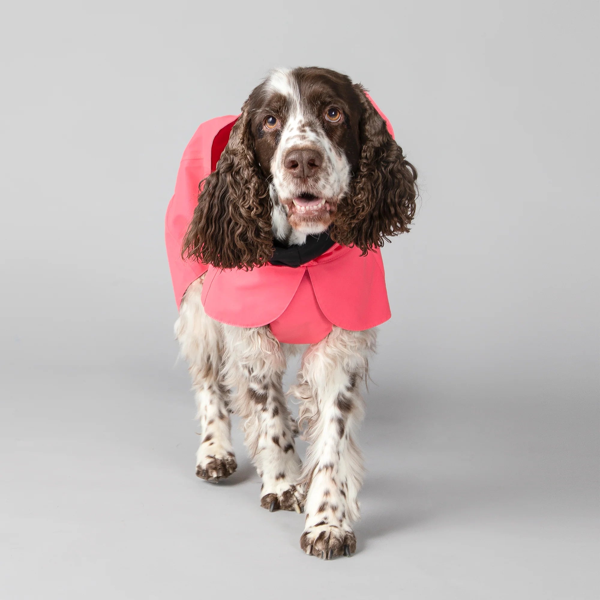 Paikka-Visibility-Raincoat-Lite-Hot-Pink-Hund2
