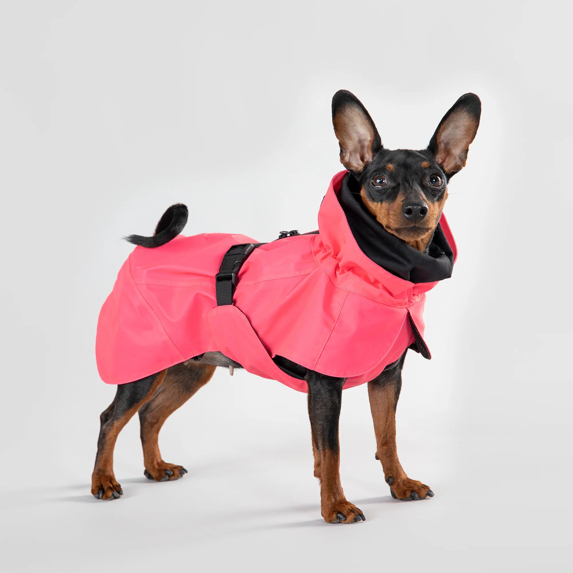 Paikka-Visibility-Raincoat-Lite-Hot-Pink-Hund