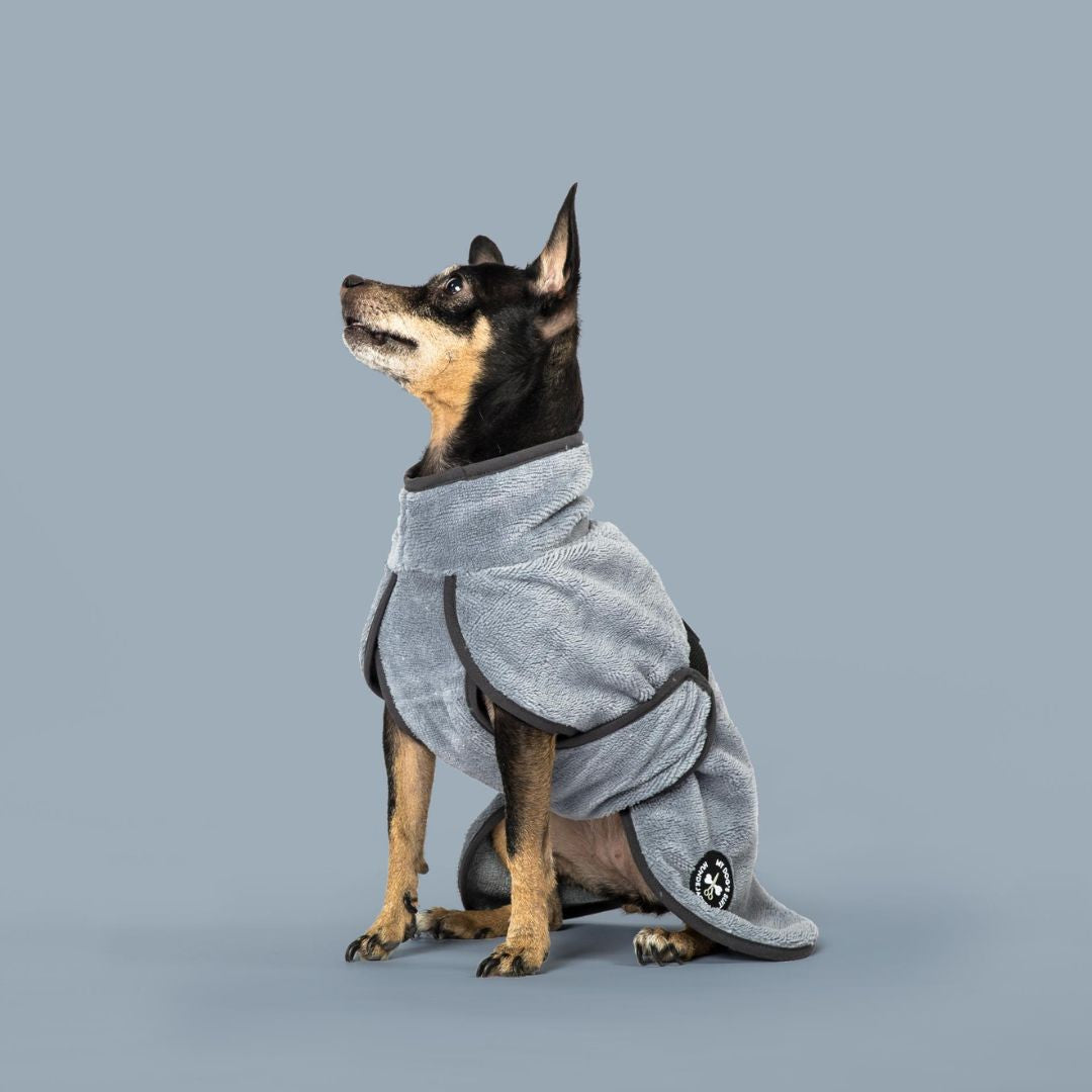 My-Dogs-Suit-Hundebademantel-Hundeschlafmantel-Fluffy-Grey-Pinscher2