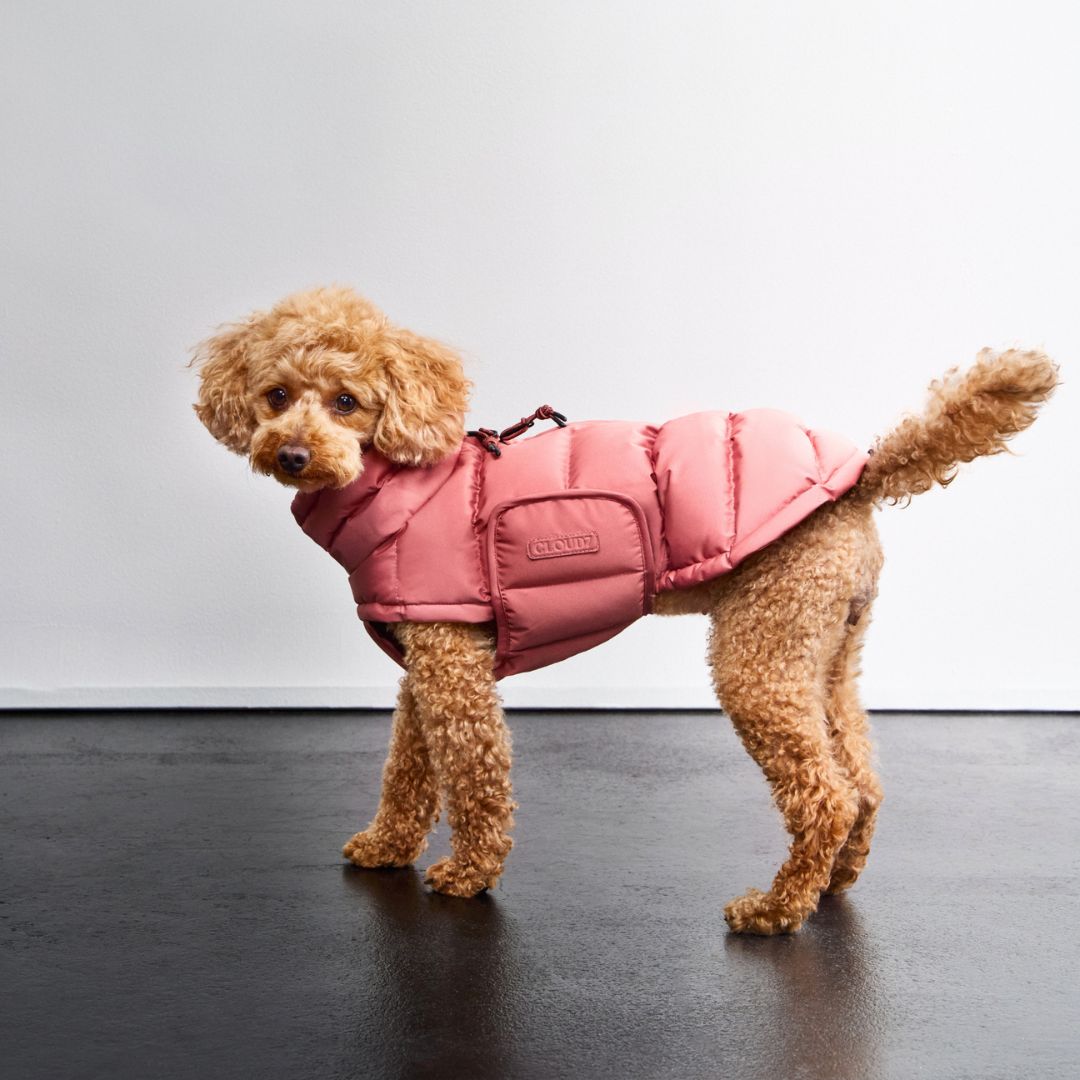 Hundemantel Alaska Faded Rose