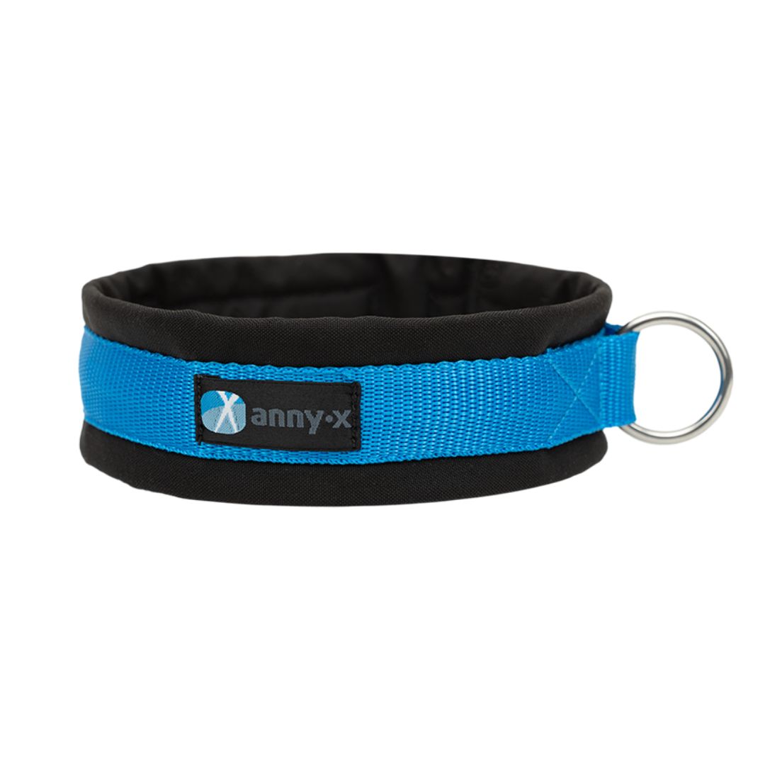 AnnyX-Hundehalsband-Fun-Schwarz-Blau-2