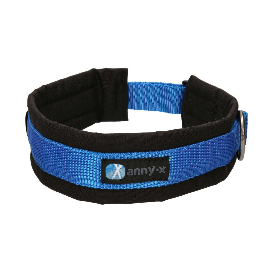 AnnyX-Hundehalsband-Fun-Schwarz-Blau