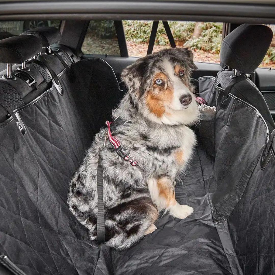 Wolters-Clean-Car-Rücksitz-Schondecke-Hund