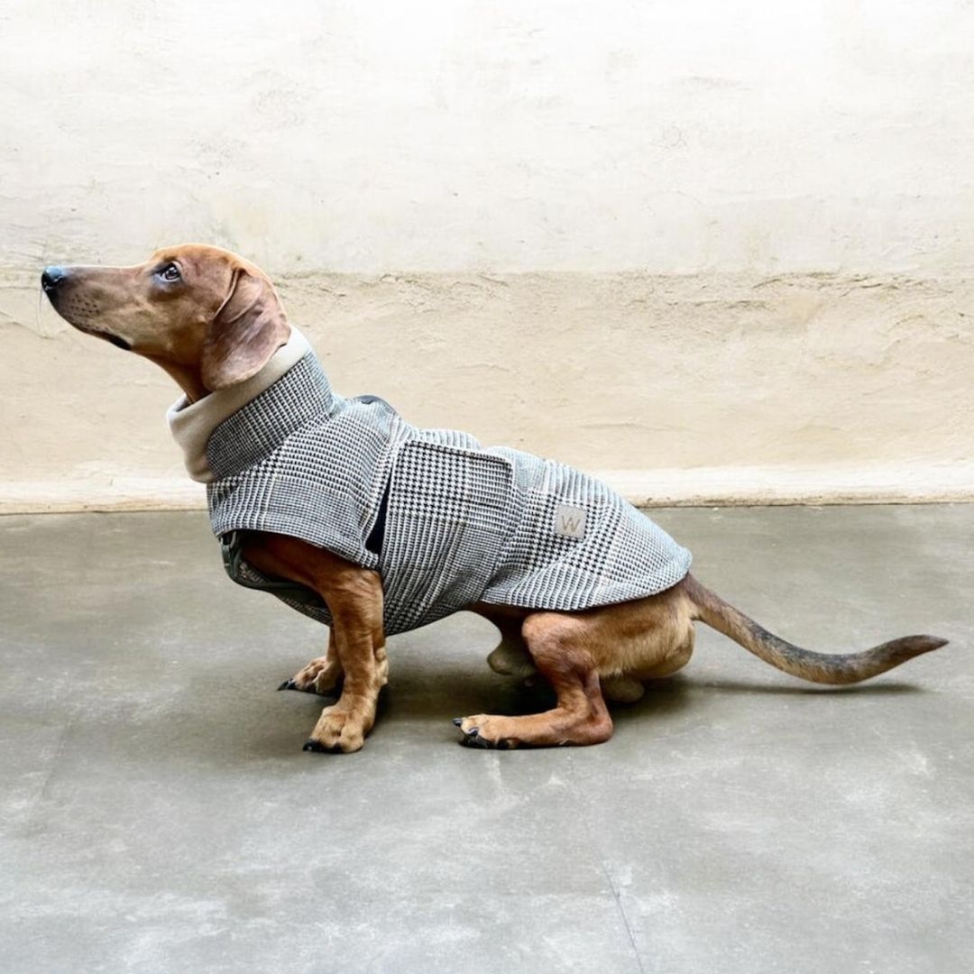 Hundemantel Brooklyn SHERLOCK DACKEL C7 x Woofstuff