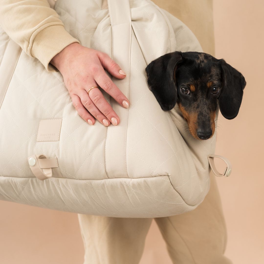 Hundeautositz-Hundetasche-Fuzzyard-Sandstone-Dackel2