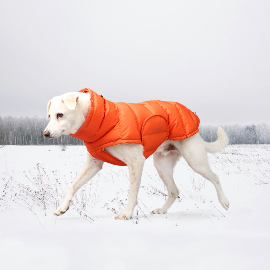 Hundemantel Alaska Burnt Orange