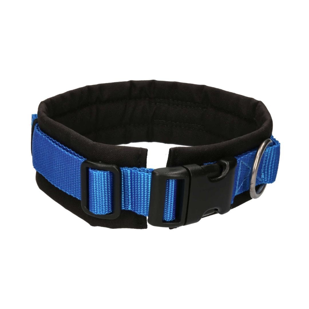 AnnyX-Hundehalsband-Fun-Schwarz-Blau-Schließe