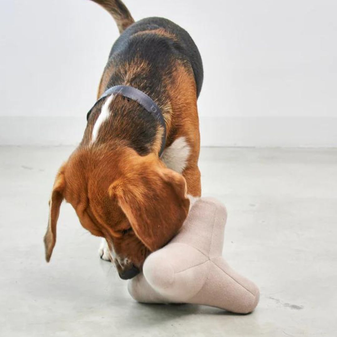 MiaCara-Hundespielzeug-Quattro-Beagle