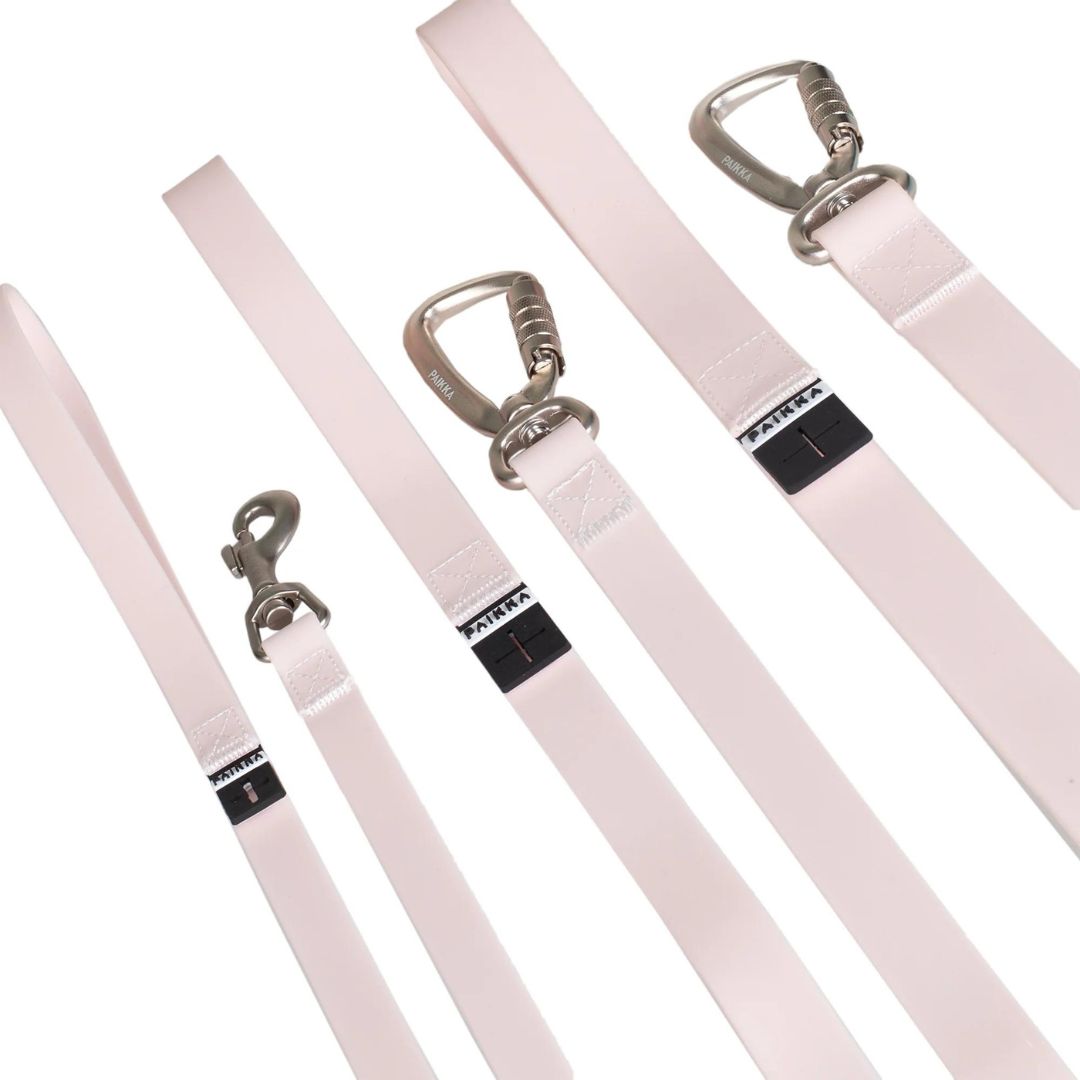 Paikka-Glow-Leash-Hundeleine-Pal-Pink-Größen