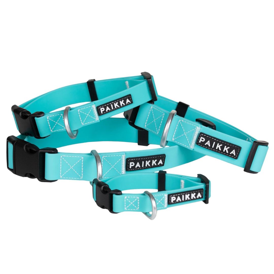 Paikka-Hundehalsband-Glow-Collar-Aqua