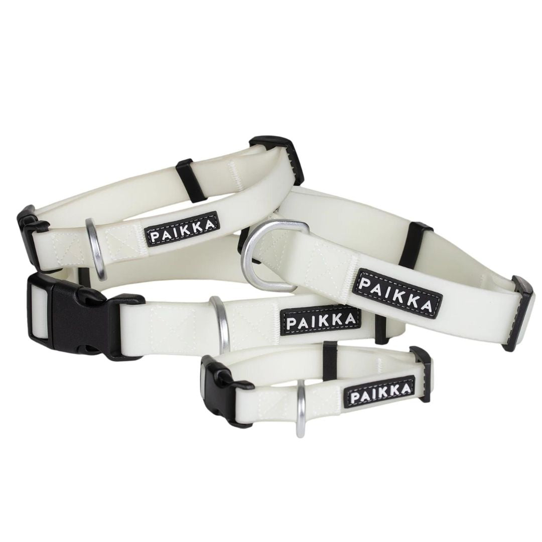 Paikka-Hundehalsband-Glow-Collar-Tageslicht