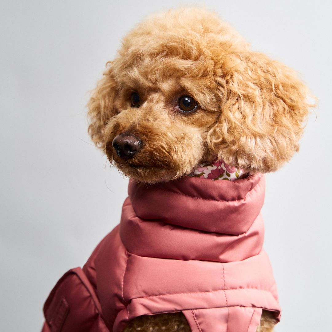 Hundemantel Alaska Faded Rose