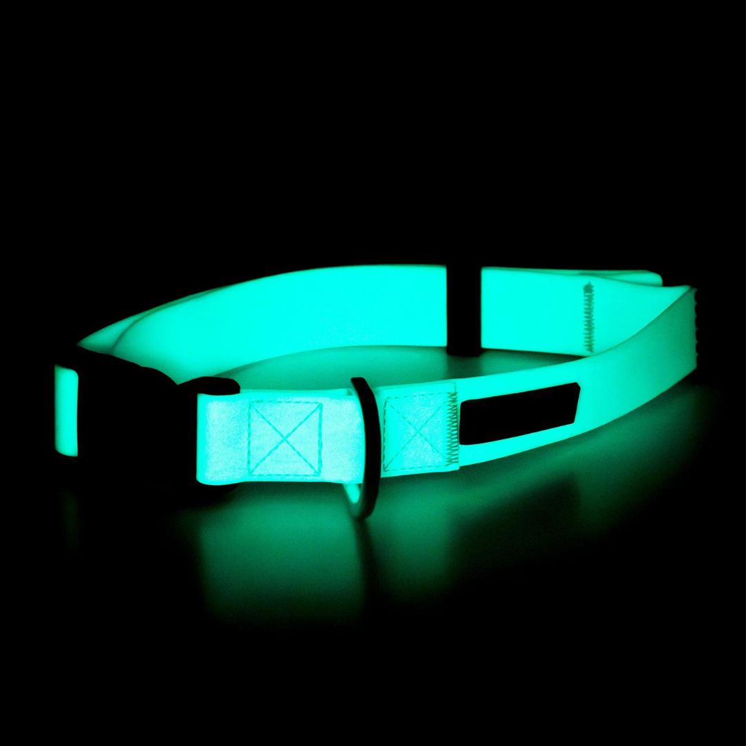 Paikka-Hundehalsband-Glow-Collar-Aqua-Leuchtend