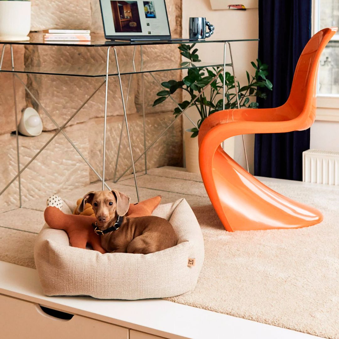 Hundebett - Campo - für kleine Hunde - MiaCara