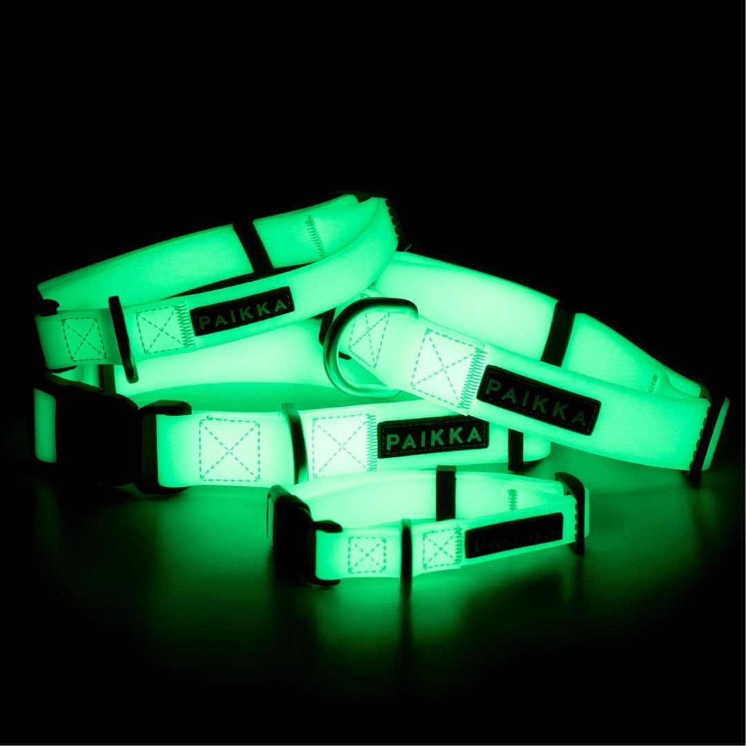 Paikka-Hundehalsband-Glow-Collar-leuchtend