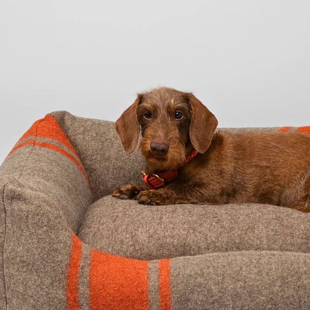 2.8-duepuntotto-Hundebett-Henri-recycelte-Wolle-Natur-Orange-Dackel