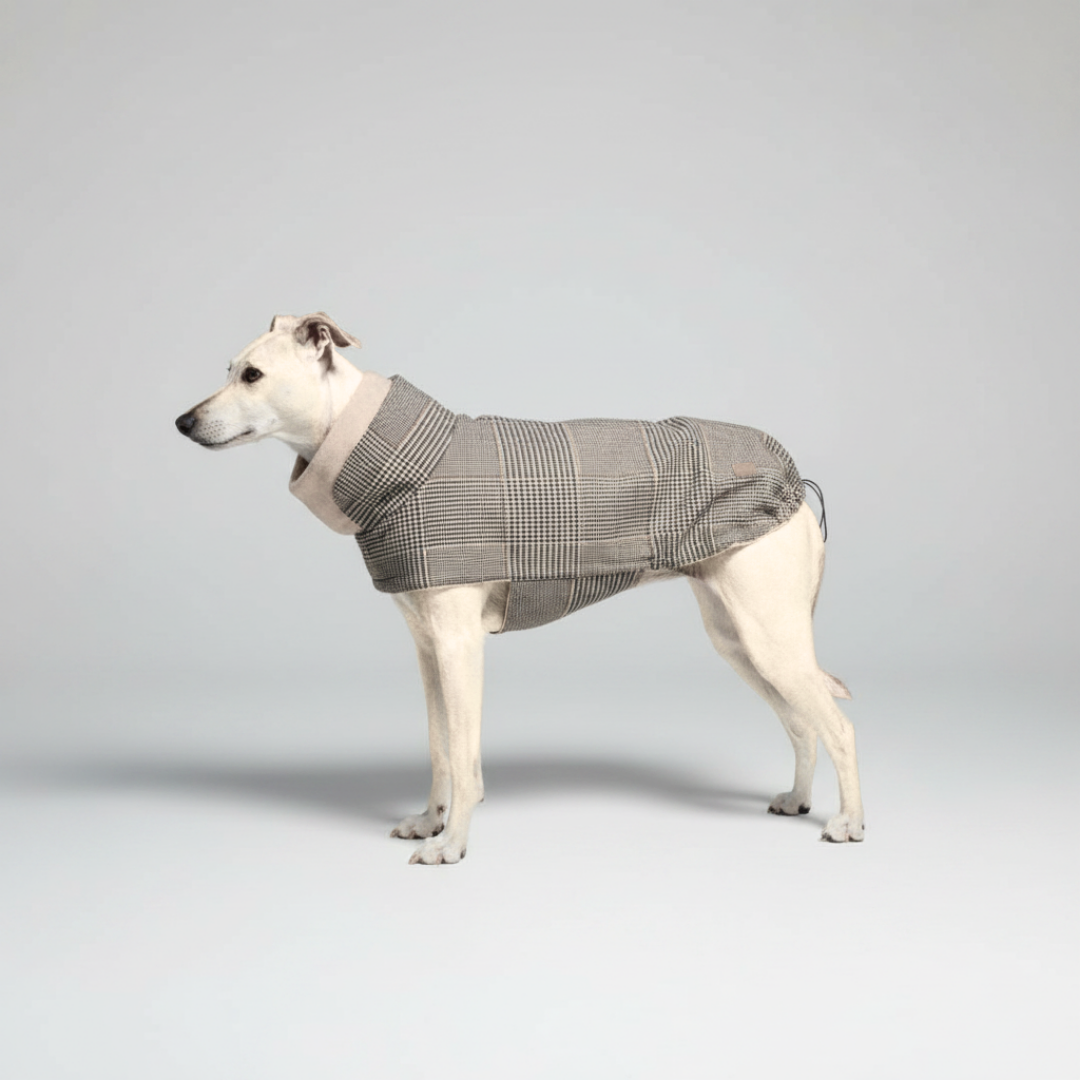Hundemantel Brooklyn SHERLOCK C7 x Woofstuff