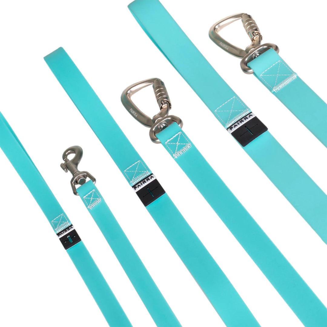 Paikka-Glow-Leash-Hundeleine-Aqua-Größen