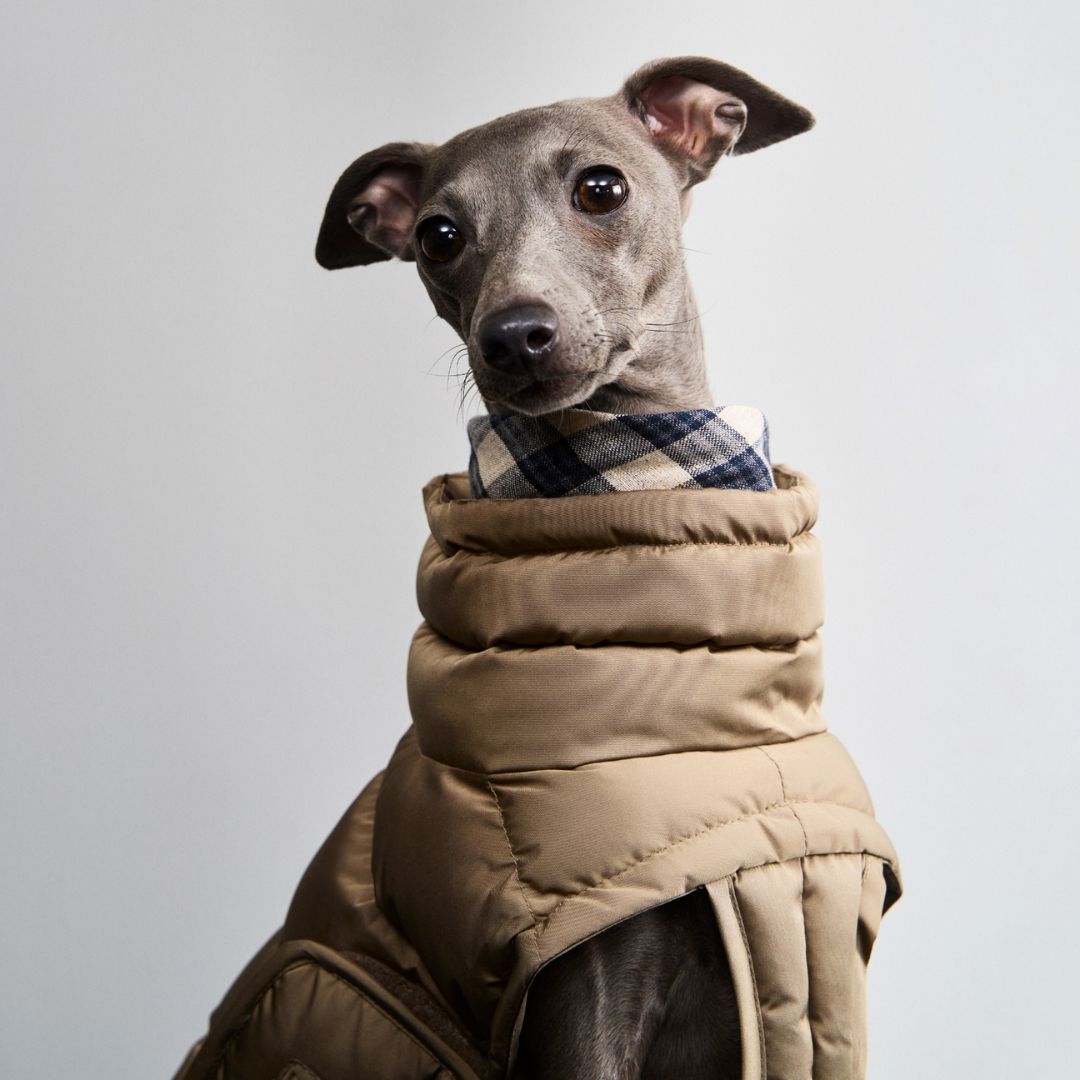 Hundemantel Alaska Sandy Brown