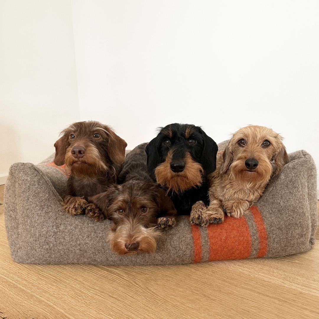 2.8-duepuntotto-Hundebett-Henri-recycelte-Wolle-Natur-Orange-Hunde