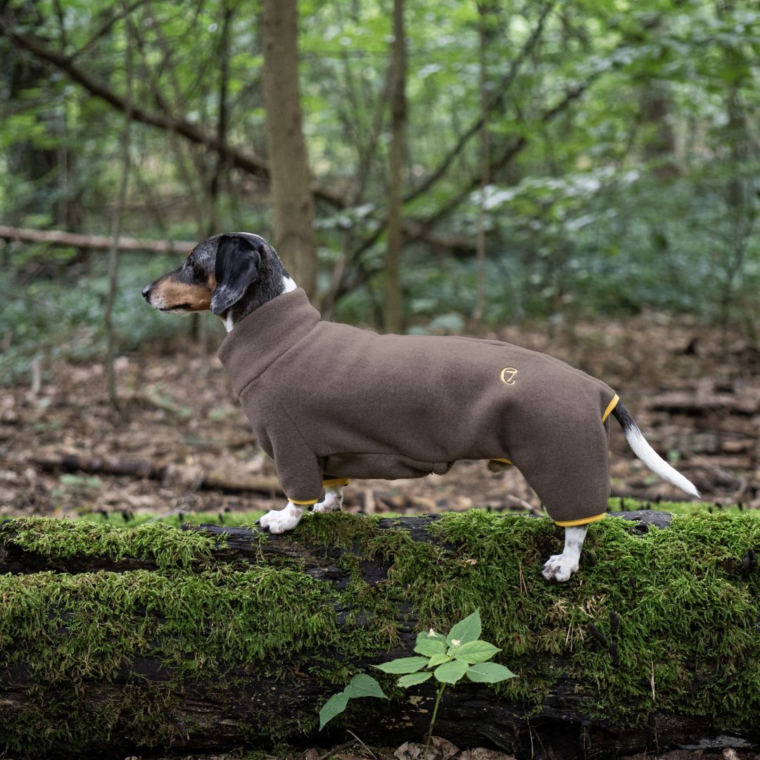 Hundepullover DACKEL Fleece Cornwall Toffee