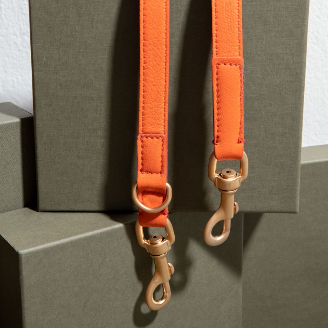 2.8-Hundeleine-Mario-Führleine-tangerine-Karabiner