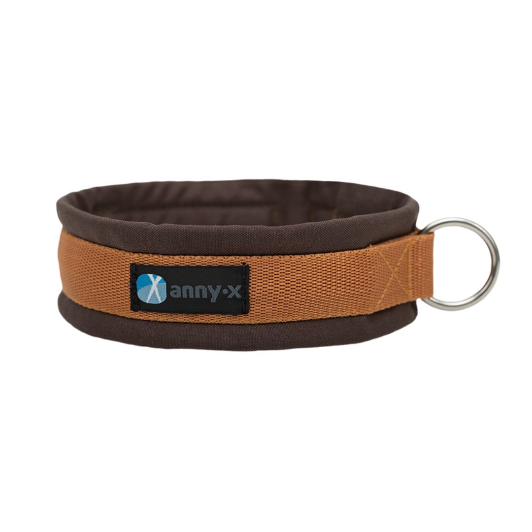 Annyx-Steckhalsband-Hundehalsband-braun-bernstein-2