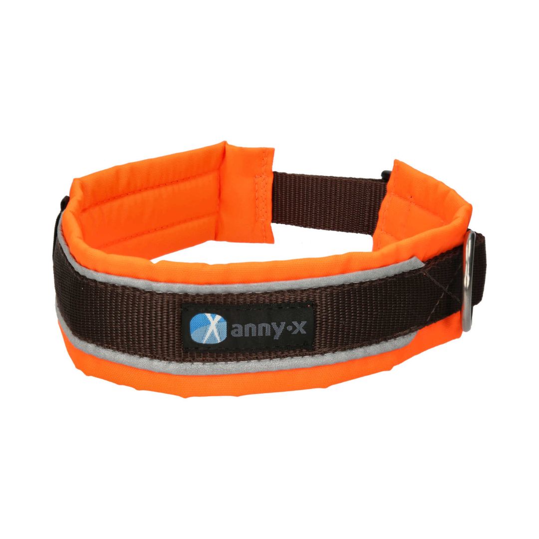 AnnyX-Hundehalsband-Protect-Leuchtorange