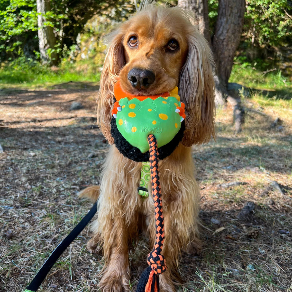Hundespielzeug Otto The Dino