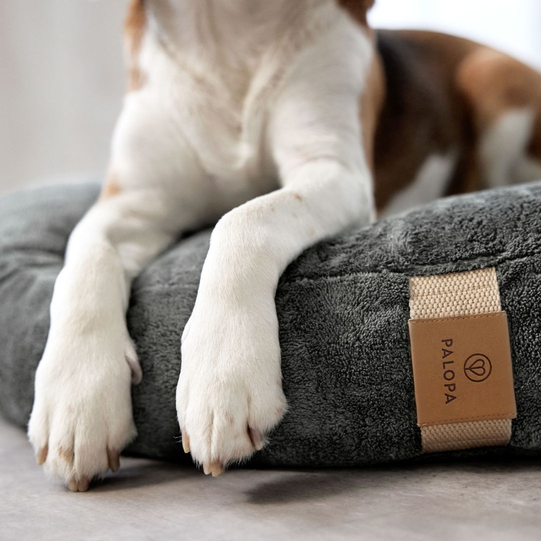 Palopa-Hundebett-Donut-Fippa-Anthrazit-Logo