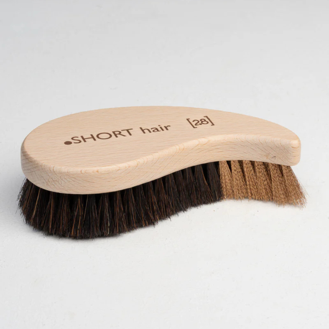 2.8-duepuntootto-Hundebürste-Lee-Short-Hair3