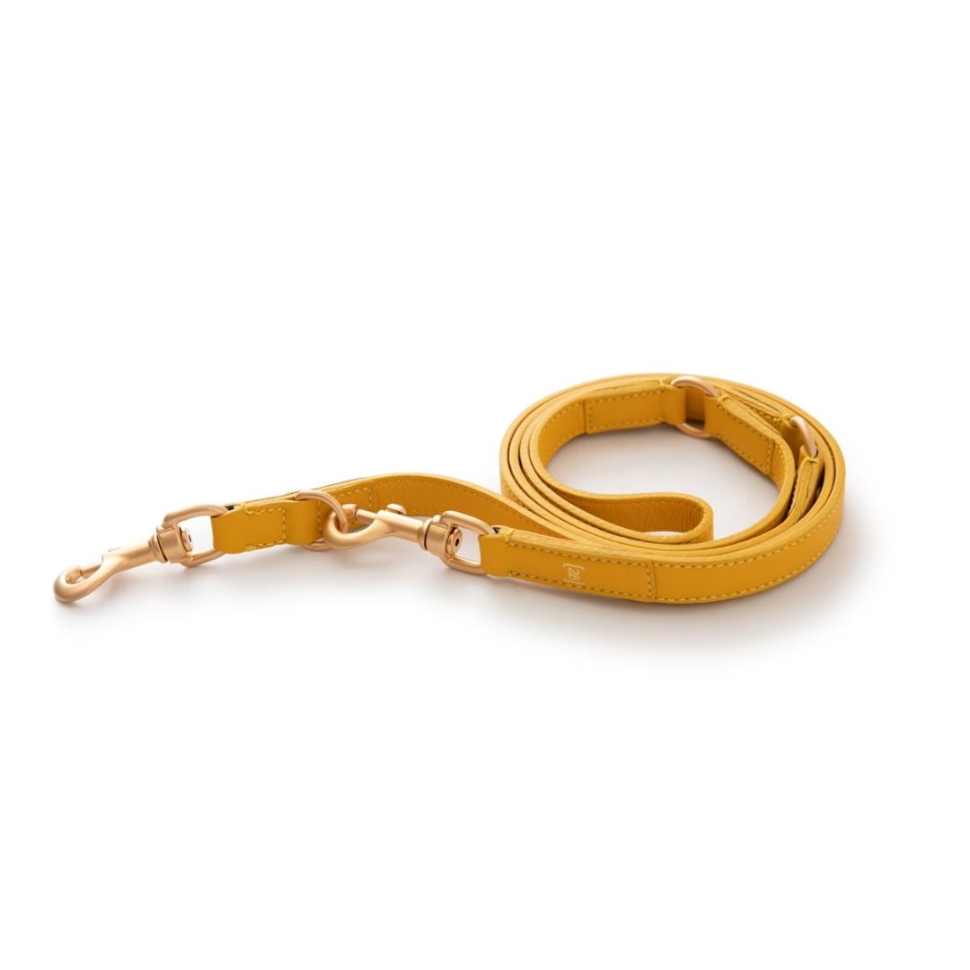 2.8-mario-lederleine-tuscan-Yellow-leather-leash