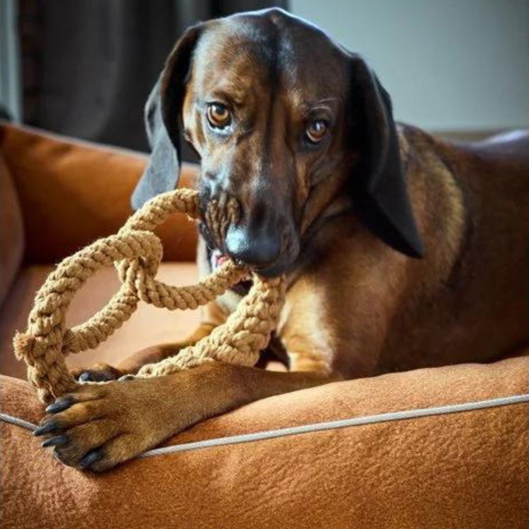 Hundespielzeug Britta Brezel