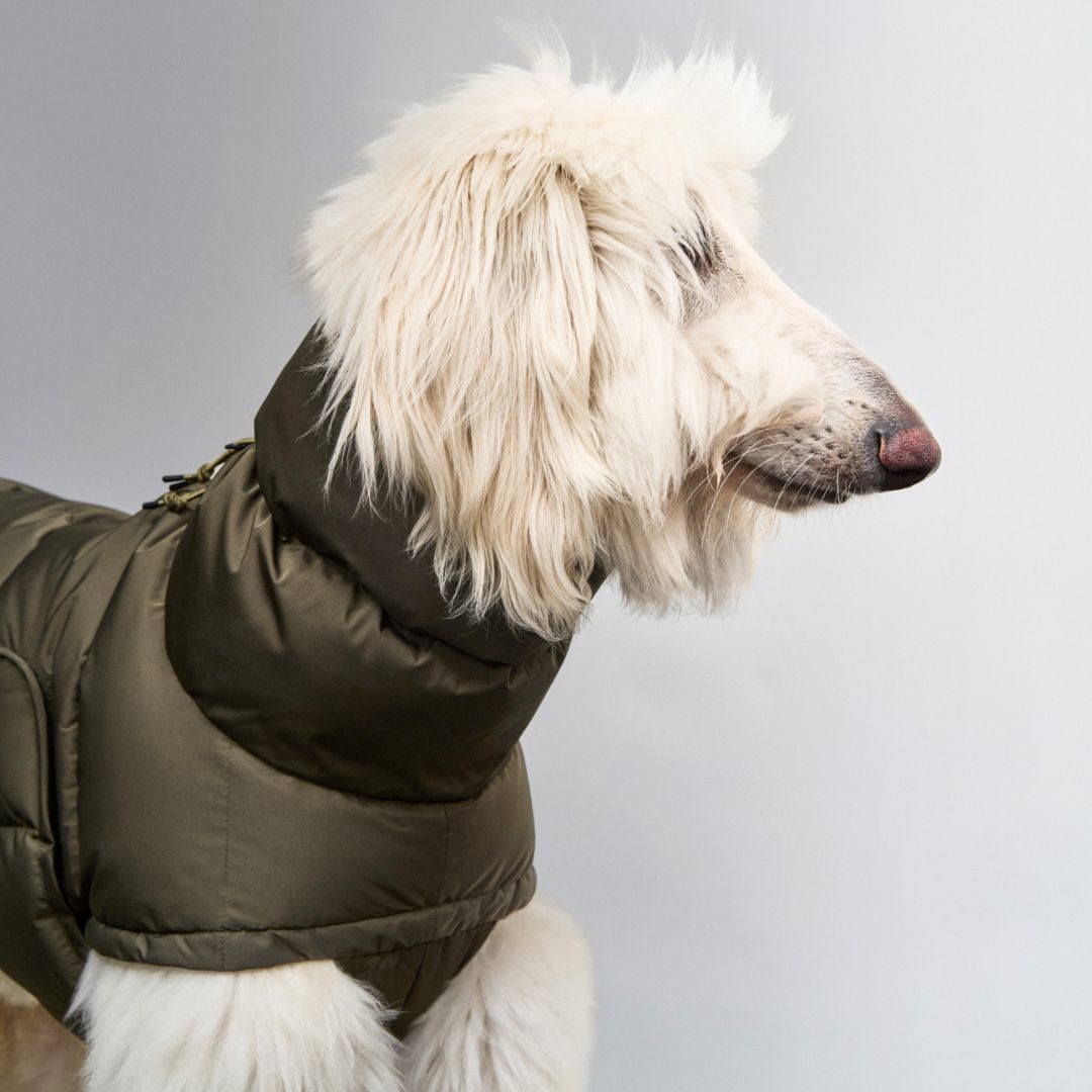 Windhundmantel Alaska Light Olive