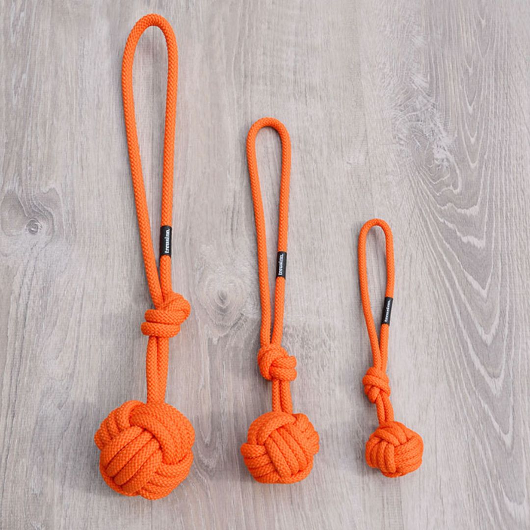 Treusinn-Hundespielzeug-Bolly-Orange-Mood