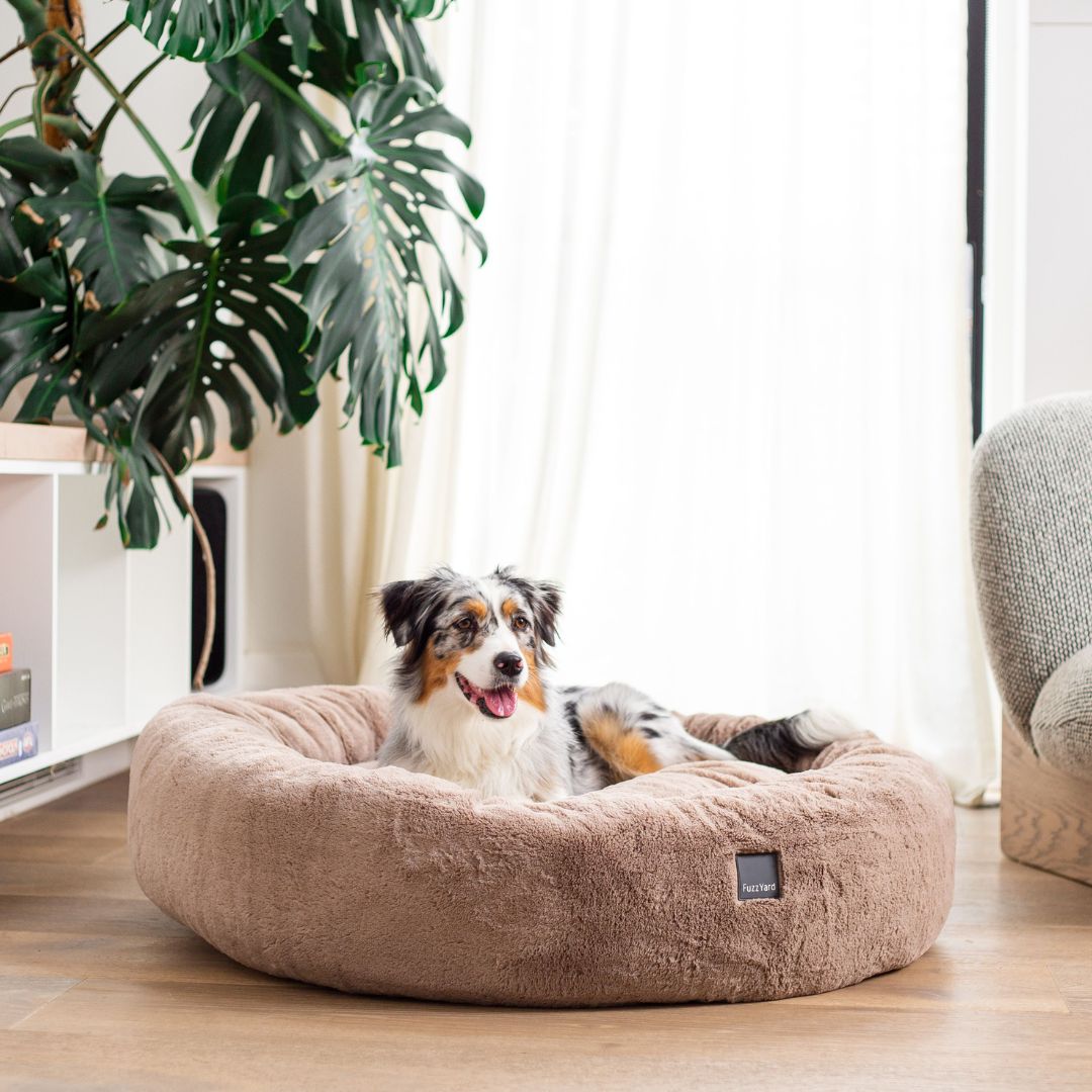 Fuzzyard-Hundebett-Dreameazzzy-Cuddler-Chai-Hund3