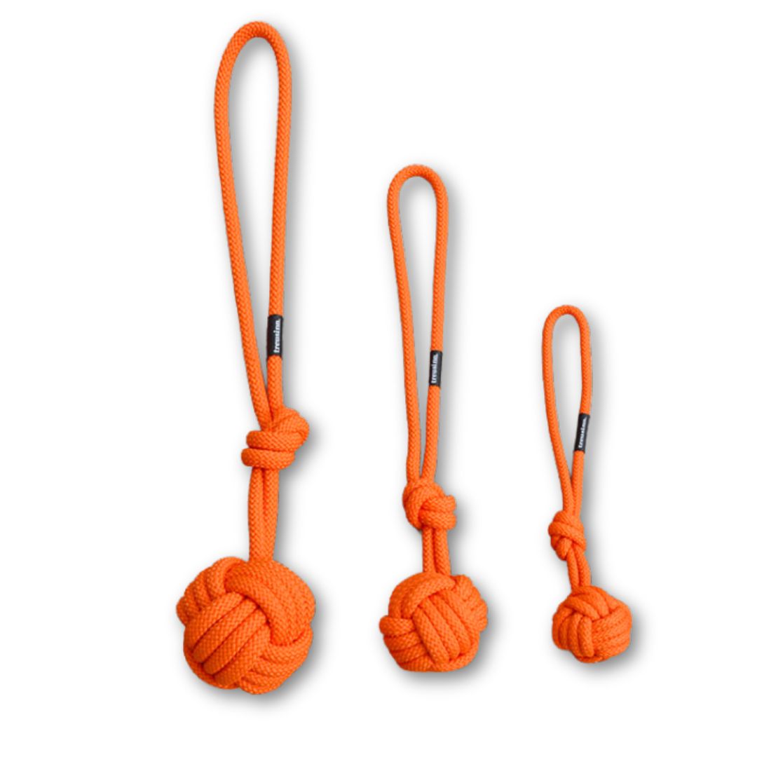 Treusinn-Hundespielzeug-Bolly-Orange