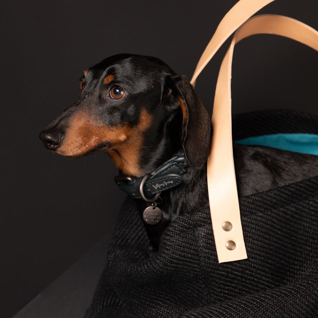 2.8-duepuntootto-Hundetragetasche-Handtasche-INGE-Jute-Charcoal-Hund