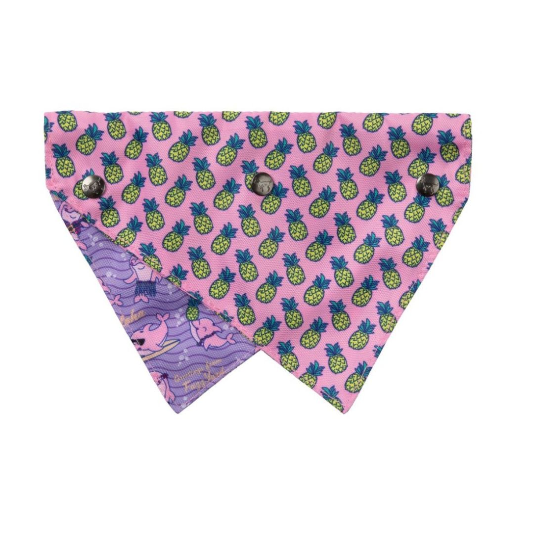 Fuzzyard-Hundehalstuch-Bandana-Aloha-Dolphins-Rückseite